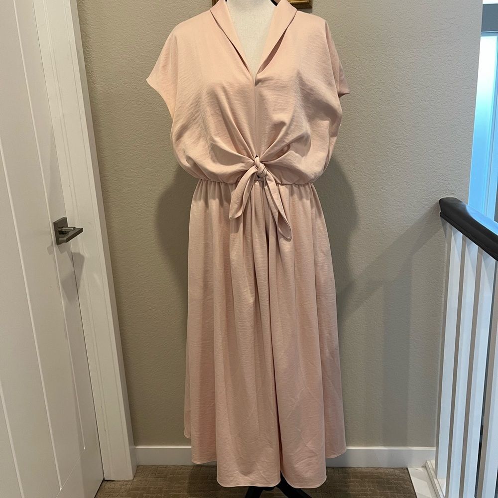Gal Meets Glam Blush Dress